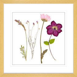 Spring Wildflowers Collection - Framed Art Prints (WILD03) - Artwork