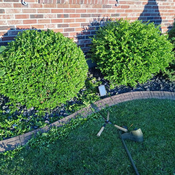 Big Man's Lawncare & Mobile Greenery LLC
