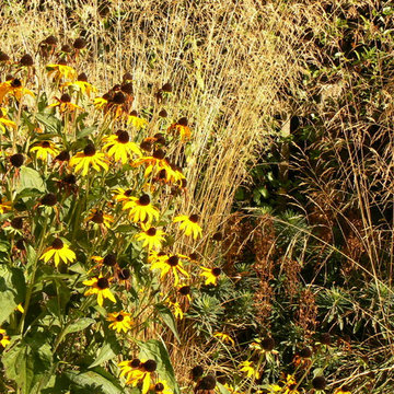 JARDIN SURESNES