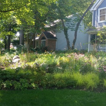 Rockford mulch-less front yard