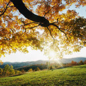 Daniel Backman's photo