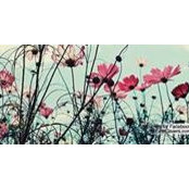 Loretta Brinkman's photo