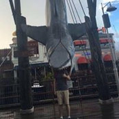 Raymond Butcher's photo