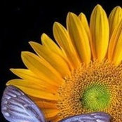 Елена Кочнева's photo