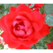 Patsy Mason's photo