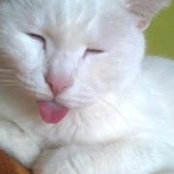Johanna Bartolo's photo
