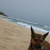 Leo Bisarra's photo
