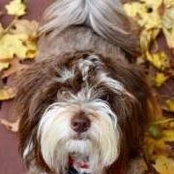 Ann Marie Buontempo's photo