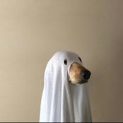 Greg Gillis's photo