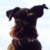 James Guenthner's photo