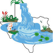 Texas Pondss foto