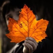James Hawley's photo