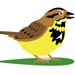 Meadowlark Construction & Development