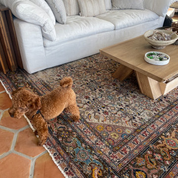 Styled Photos of Antique Rugs in Client Homes