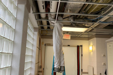 commercial mold remediation