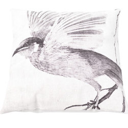 Spacecraft Honey Eater Cushion - Decorative Cushions