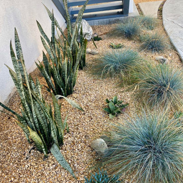 Lawn to native pollinator water capturing design