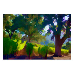 Douglas Page Photographic Arts - Vineyard Lane, Art, Canvas Giclee - Photographs