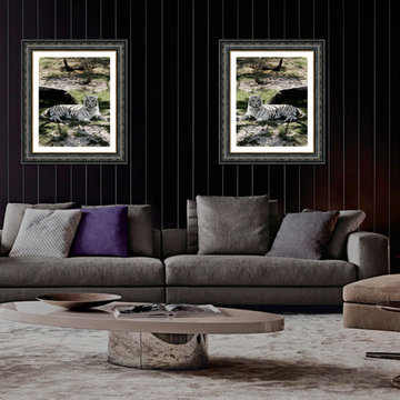 "White Tiger at Rest" Fine Art Print