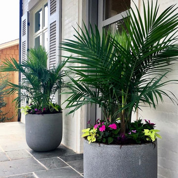 Summer Container Gardens