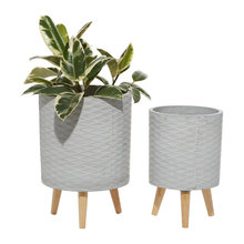 Plants And Pots