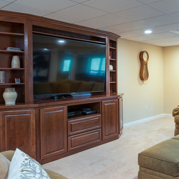Living Room Entertainment Center in Cherry with Raised Panel Doors