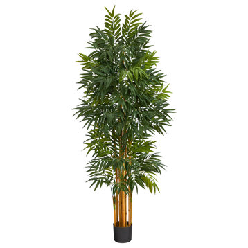 5.5' Phoenix Artificial Palm tree With Natural Trunk