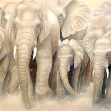 Elephant Mural