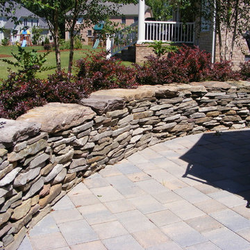 New Home, Backyard from scratch
