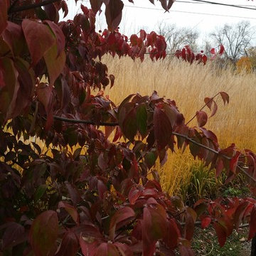 The DPG Farm Gardens, East Vincent Township