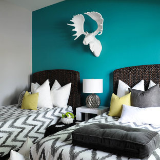 Teal Accent Wall Houzz