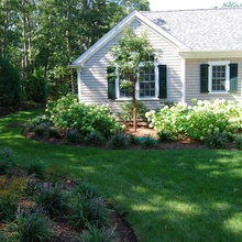 front yard