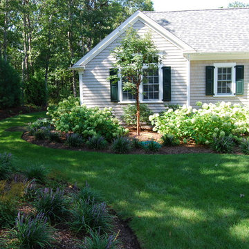 Foundation Planting & Lawn Area