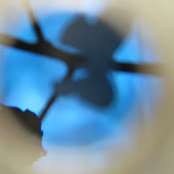 Amy McIntyre's photo