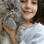 Rawan Alimy's photo