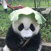 Tommy Tam's photo