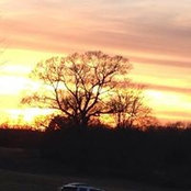 Mary Terry's photo