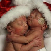Trisha Stibbe's photo