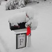 Lynn Fleming's photo