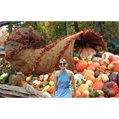 Lydia Clopton's photo