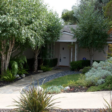 Zen Drought Tolerant Entry