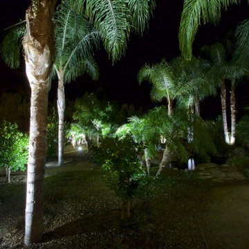 Sprawling Avacado and Palm Tree farm in Somis, California