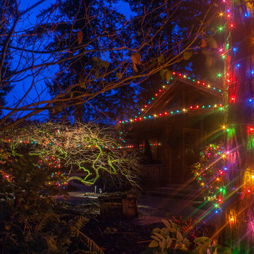 Tree wraps