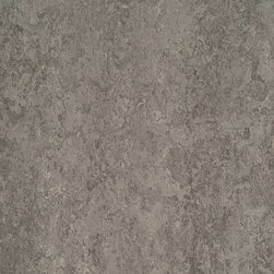 Forbo - Forbo Marmoleum Modular, Eiger - T2629, 10" x 10" - Flooring