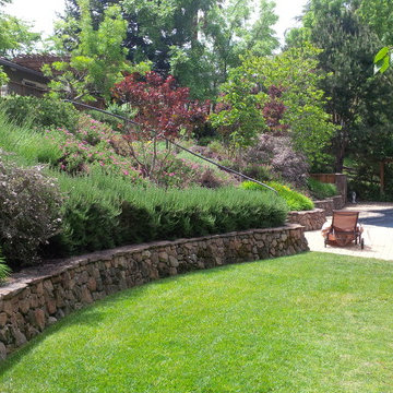 Monte Sereno Contemporary Elegance