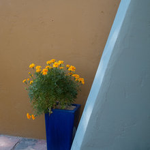 Wall Colours