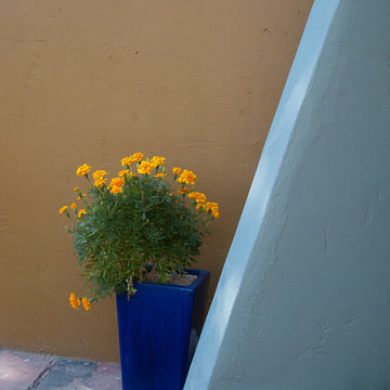 Colored walls in the garden