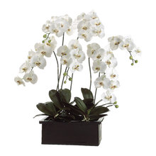 Fake Plants