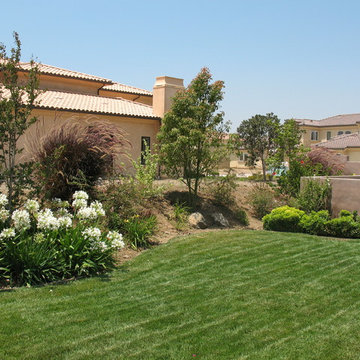 Camarillo View
