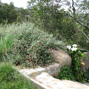 Topanga Garden
